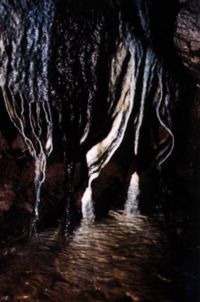 The black stalactites, from a different angle. Photo: Mark Shinwell