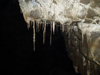 Strangely distorted stalactites in the main Notts 2 streamway, upstream of Curry Inlet. Photo: Dave Loeffler